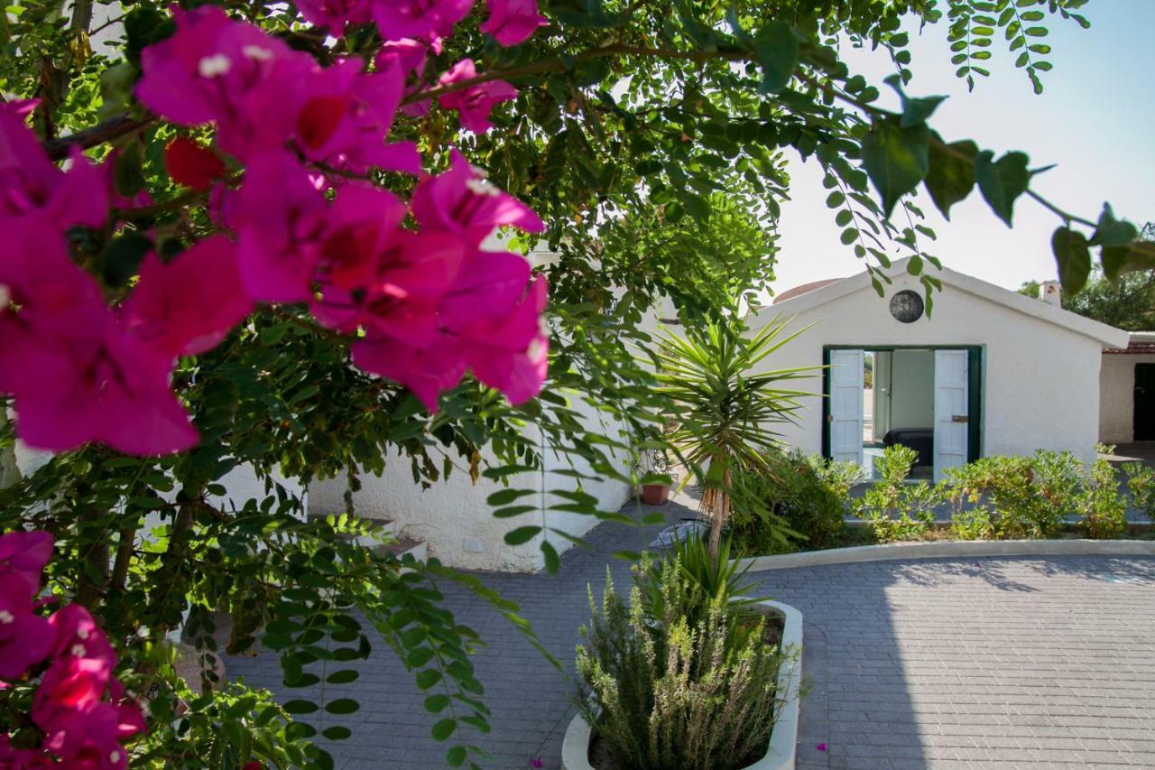 Villa Palma San Leone Exterior foto
